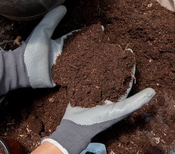 app_fertilizantes_carbonatodeniquelpolvo